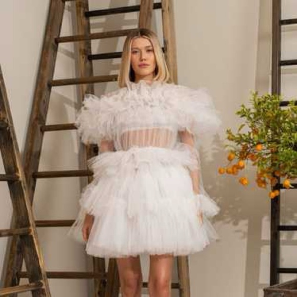 Kikiriki Ruffle Tulle Crew Neck Mini
Dress NWT sz Small - Picture 3 of 10